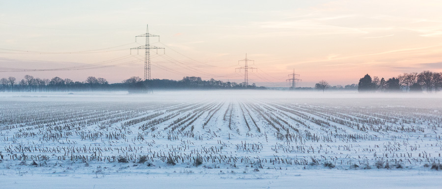 Winter in Rural Lower Saxony